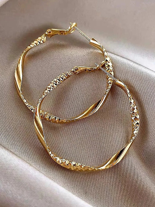 Exquisite silky texture design earrings