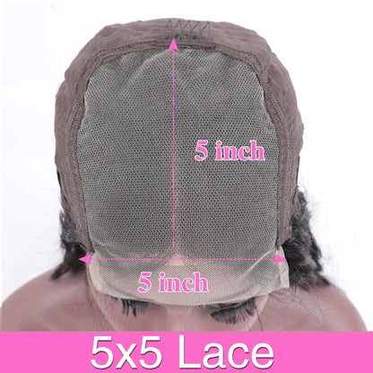 13x6 HD Lace Front Wigs